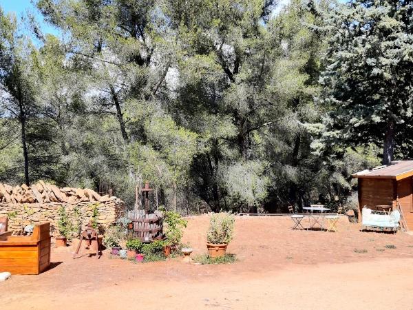 Chambre privée, piscine, pool house, cuisine d'été : photo 5 de la chambre chambre double - vue sur jardin