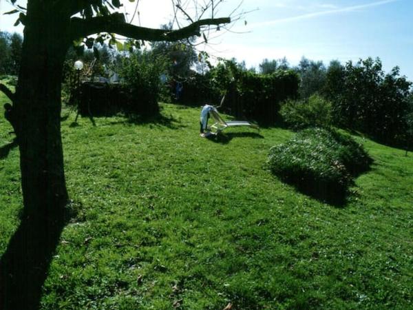 LA VIGNA Agriturismo : photo 10 de la chambre appartement 2 chambres