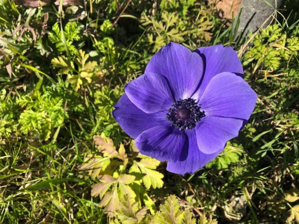 LA VIGNA Agriturismo : photo 8 de la chambre appartement 2 chambres