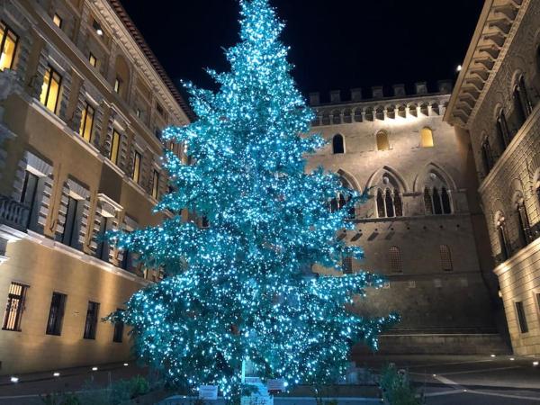 LA VIGNA Agriturismo : photo 5 de la chambre appartement 2 chambres