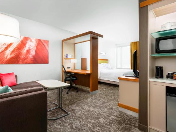 SpringHill Suites by Marriott San Diego Mission Valley : photo 1 de la chambre studio lit king-size