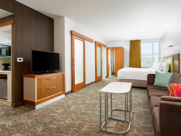 SpringHill Suites by Marriott San Diego Mission Valley : photo 2 de la chambre studio lit king-size