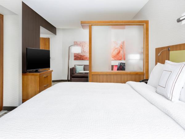 SpringHill Suites by Marriott San Diego Mission Valley : photo 3 de la chambre studio lit king-size