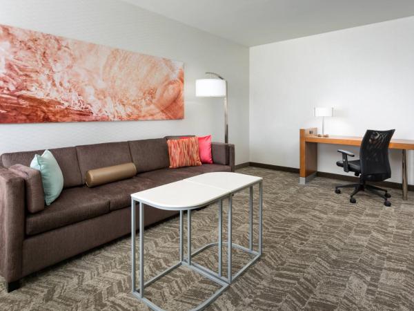 SpringHill Suites by Marriott San Diego Mission Valley : photo 5 de la chambre studio lit king-size