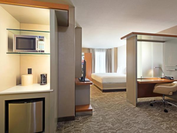 SpringHill Suites Louisville Downtown : photo 4 de la chambre suite lit king-size avec canapé-lit