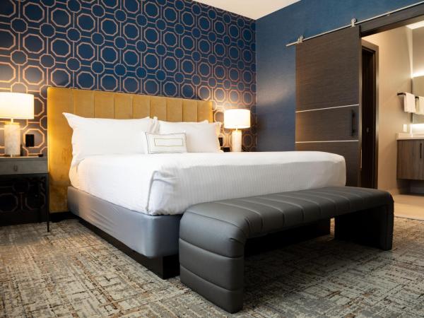 SpringHill Suites by Marriott Chicago Chinatown : photo 10 de la chambre penthouse king suite with sofa bed