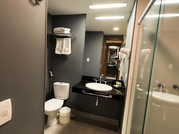 Hotel Vivenzo Savassi Belo Horizonte : photo 1 de la chambre chambre lits jumeaux standard