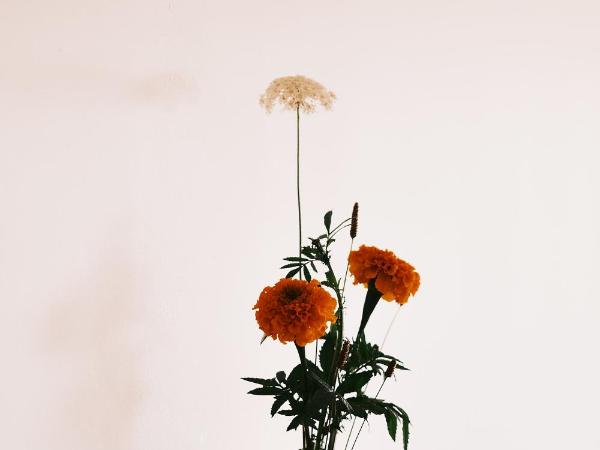 guesthouse by good neighbor : photo 7 de la chambre suite - vue sur ville