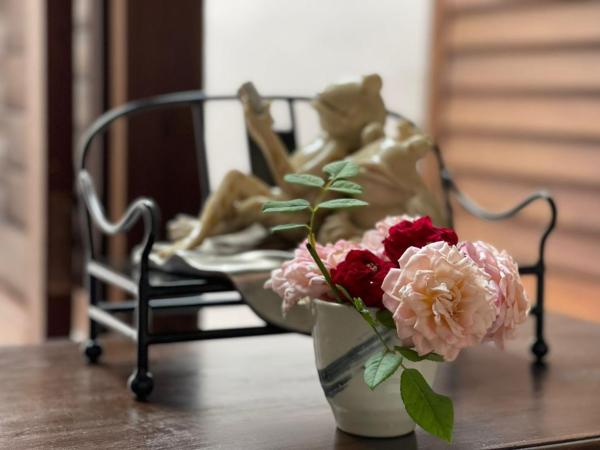 Betel Nut Lodge : photo 7 de la chambre chambre lits jumeaux standard