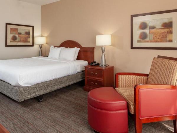 Hilton Garden Inn Charlotte Pineville : photo 6 de la chambre suite lit king-size avec jacuzzi