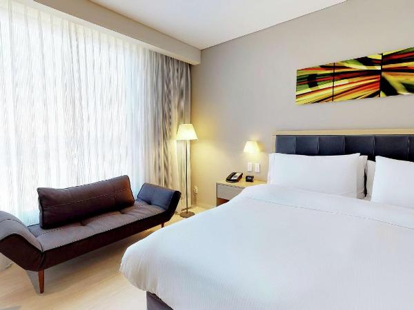 Hilton Garden Inn Merida : photo 3 de la chambre chambre lit king-size avec douche accessible en fauteuil roulant - adaptée aux personnes à mobilité réduite