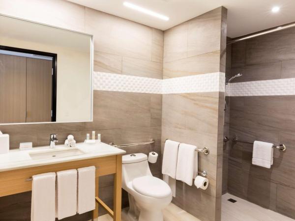 Hilton Garden Inn Merida : photo 2 de la chambre chambre lit king-size avec douche accessible en fauteuil roulant - adaptée aux personnes à mobilité réduite