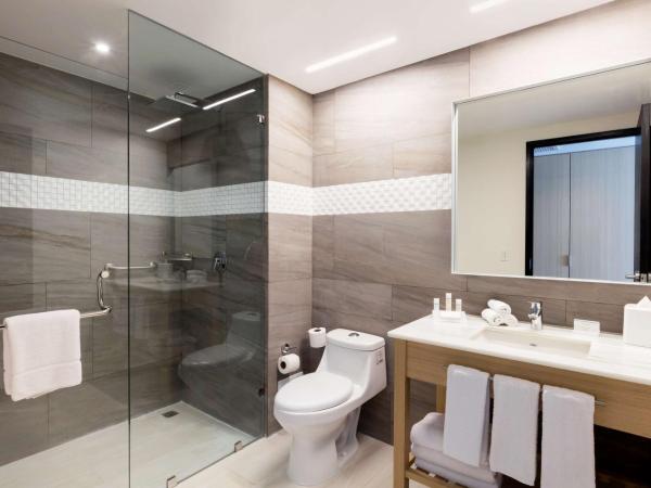 Hilton Garden Inn Merida : photo 1 de la chambre chambre lit king-size