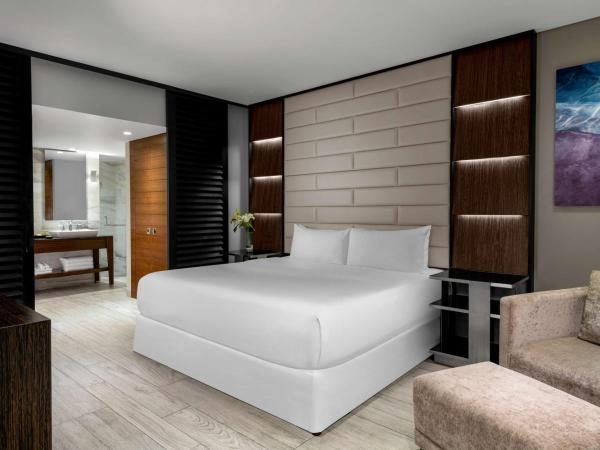 Hilton Vallarta Riviera All-Inclusive Resort,Puerto Vallarta : photo 1 de la chambre suite gouverneur côté océan avec terrasse et bain à remous