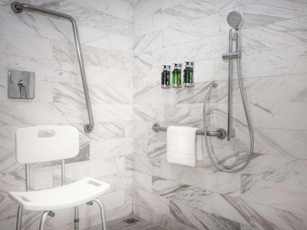 Hilton Vallarta Riviera All-Inclusive Resort,Puerto Vallarta : photo 3 de la chambre chambre lit king-size côté océan - accessible aux personnes à mobilité réduite