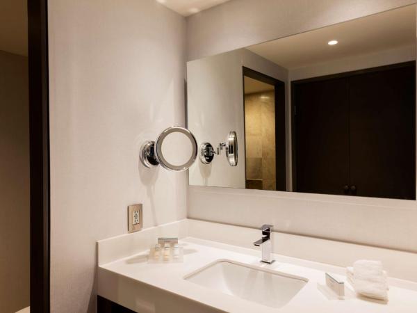 Hilton Garden Inn Mexico City Santa Fe : photo 6 de la chambre chambre lit king-size