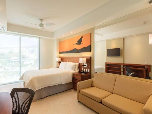 Hampton Inn & Suites by Hilton Los Cabos : photo 1 de la chambre chambre lit queen-size - accessible aux personnes à mobilité réduite/malentendantes