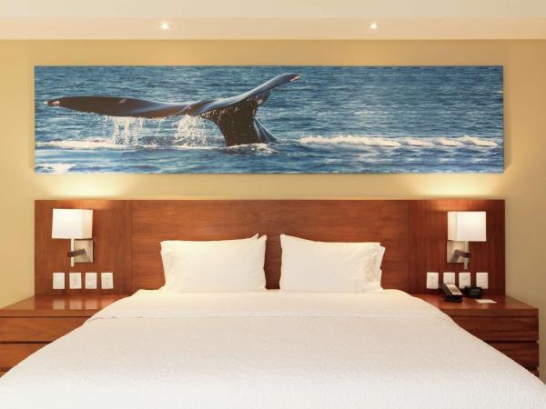 Hampton Inn & Suites by Hilton Los Cabos : photo 1 de la chambre suite studio lit king-size - non-fumeurs