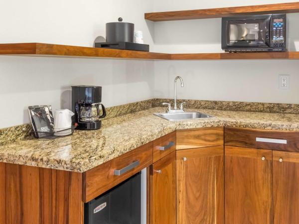 Hampton Inn & Suites by Hilton Los Cabos : photo 4 de la chambre suite studio lit king-size - non-fumeurs