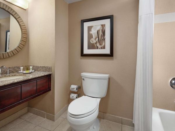 Hilton Orlando Lake Buena Vista - Disney Springs™ Area : photo 3 de la chambre chambre double avec 2 lits doubles