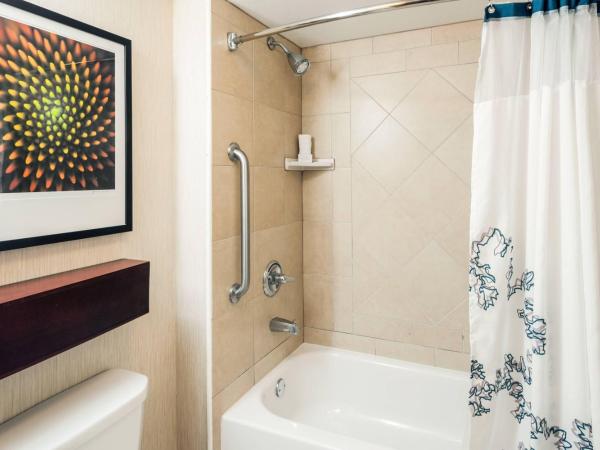 Residence Inn Orlando Airport : photo 7 de la chambre suite 1 chambre lit king-size avec canapé-lit