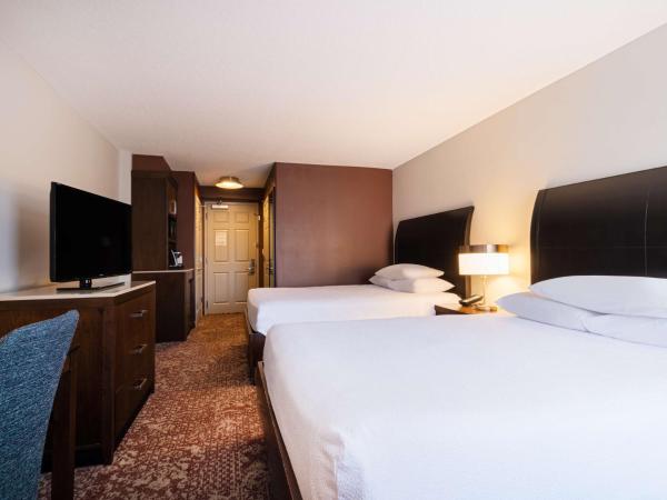 Hilton Garden Inn Chicago Downtown/Magnificent Mile : photo 2 de la chambre chambre double avec 2 lits doubles - non-fumeurs