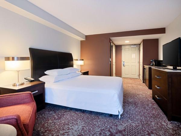 Hilton Garden Inn Chicago Downtown/Magnificent Mile : photo 1 de la chambre chambre lit king-size