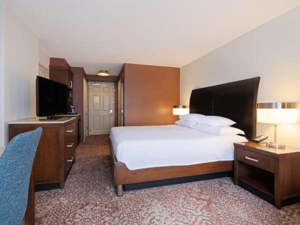 Hilton Garden Inn Chicago Downtown/Magnificent Mile : photo 3 de la chambre chambre lit king-size
