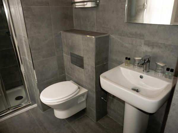 Phoenix Park Hotel : photo 4 de la chambre chambre familiale