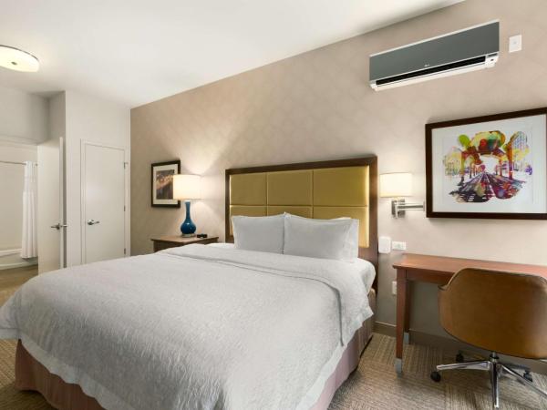 Hampton Inn Chicago Downtown/N Loop/Michigan Ave : photo 3 de la chambre chambre lit king-size - non-fumeurs