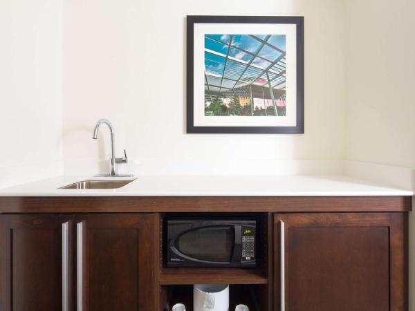 Hampton Inn & Suites Dallas Downtown : photo 5 de la chambre studio lit king-size