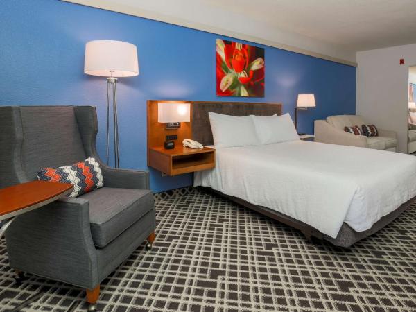 Hilton Garden Inn Dallas/Market Center : photo 4 de la chambre chambre lit king-size deluxe avec canapé-lit