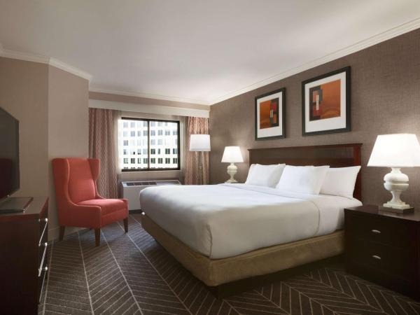 Hilton Arlington : photo 3 de la chambre suite lit king-size – non-fumeurs
