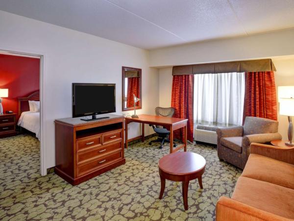 Hilton Garden Inn Chicago/Midway Airport : photo 4 de la chambre suite 1 chambre lit king-size avec canapé-lit