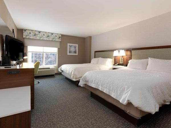 Hampton Inn & Suites Arlington Crystal City DCA : photo 5 de la chambre chambre avec 2 grands lits queen-size
