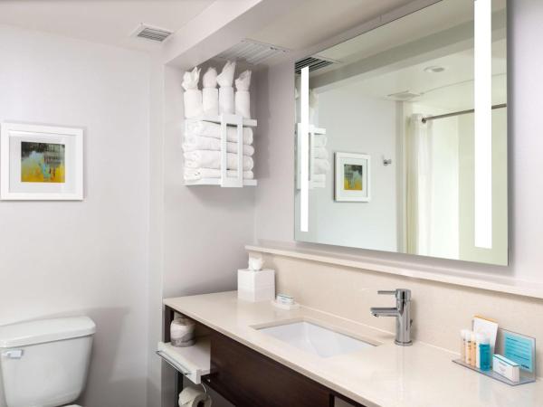 Hampton Inn & Suites Arlington Crystal City DCA : photo 6 de la chambre chambre avec 2 grands lits queen-size