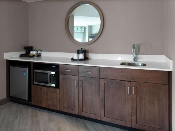 Hampton Inn & Suites Arlington Crystal City DCA : photo 4 de la chambre suite 1 chambre lit king-size - non-fumeurs