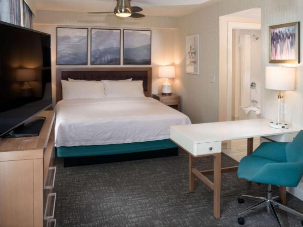 Homewood Suites by Hilton Salt Lake City Downtown : photo 4 de la chambre suite studio lit king-size