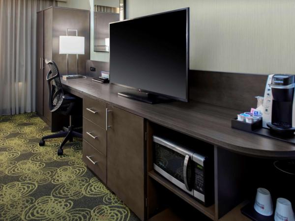 Hilton Garden Inn Reagan National Airport : photo 5 de la chambre chambre lit king-size