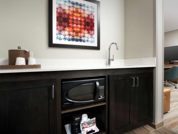 Hampton Inn & Suites San Antonio Lackland AFB SeaWorld : photo 2 de la chambre chambre lit king-size avec canapé-lit - non-fumeurs