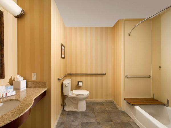 Hampton Inn and Suites San Antonio Airport : photo 2 de la chambre chambre lit king-size - accessible aux personnes à mobilité réduite - non-fumeurs