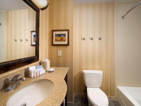 Hampton Inn and Suites San Antonio Airport : photo 2 de la chambre chambre 2 lits queen-size - non-fumeurs