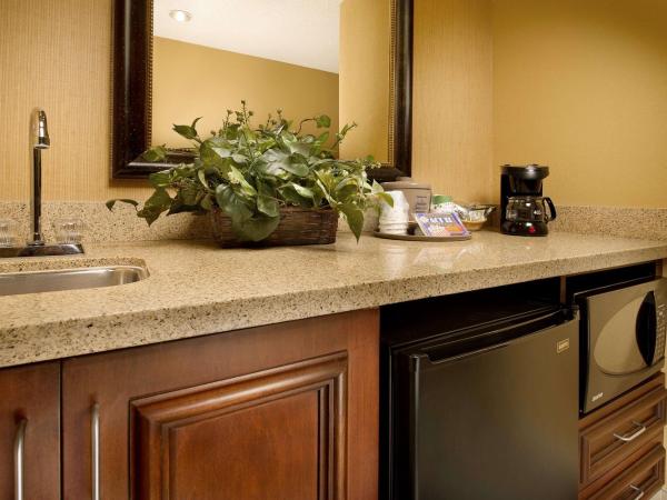 Hampton Inn and Suites San Antonio Airport : photo 2 de la chambre suite studio lit king-size - non-fumeurs