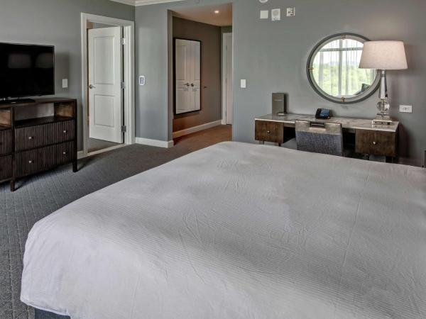 Hilton Nashville Green Hills : photo 2 de la chambre suite 1 chambre lit king-size