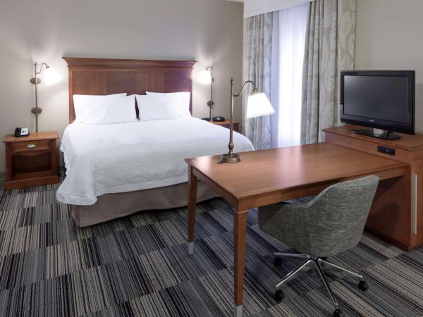 Hampton Inn & Suites Colorado Springs/I-25 South : photo 1 de la chambre suite studio lit king-size - non-fumeurs