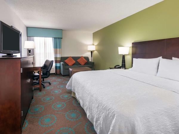 Hampton Inn Orlando-International Airport : photo 3 de la chambre chambre lit king-size exécutive avec canapé-lit - non-fumeurs