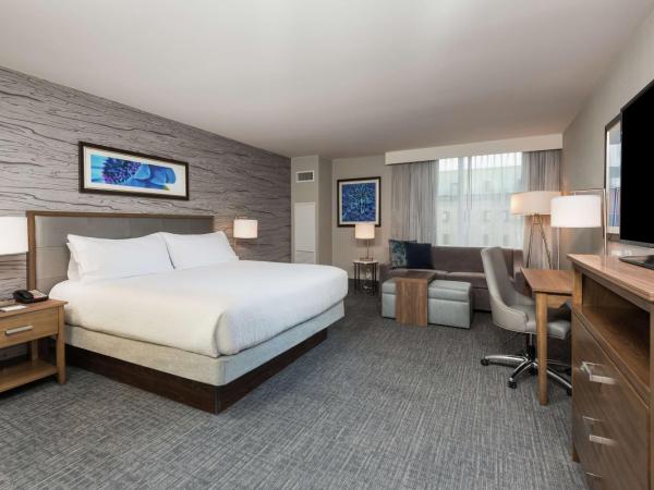 Homewood Suites By Hilton Ottawa Downtown : photo 2 de la chambre suite studio lit king-size avec canapé-lit – non-fumeurs