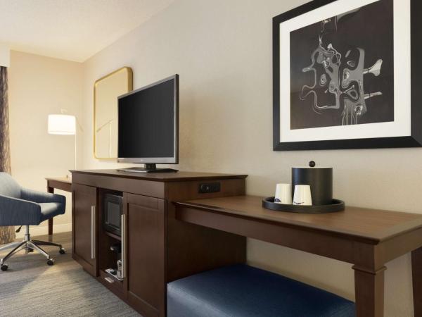 Hampton Inn & Suites Nashville-Downtown : photo 2 de la chambre chambre bureau king avec canapé-lit