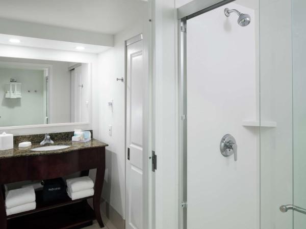 Hampton Inn & Suites Memphis-Beale Street : photo 6 de la chambre suite 1 chambre lit king-size avec canapé-lit