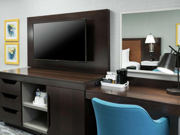 Hampton Inn & Suites Memphis-Beale Street : photo 2 de la chambre chambre lit king-size avec canapé-lit